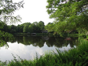 Bullough's Pond in Newton, MA